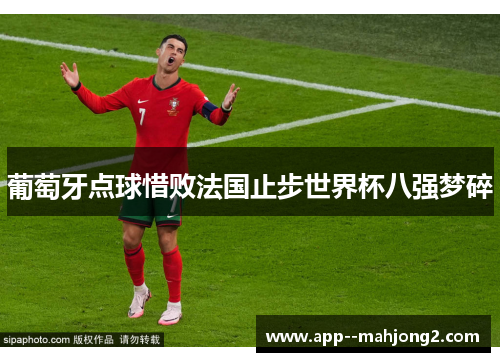 葡萄牙点球惜败法国止步世界杯八强梦碎